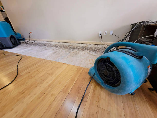 Professional Structural Drying technician working in Pottsville, AR
